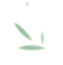 image19.png